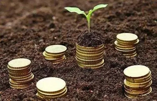 2021杭州小微企業(yè)稅收優(yōu)惠政策規(guī)定